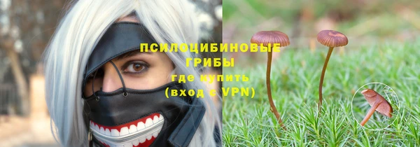 apvp Богданович